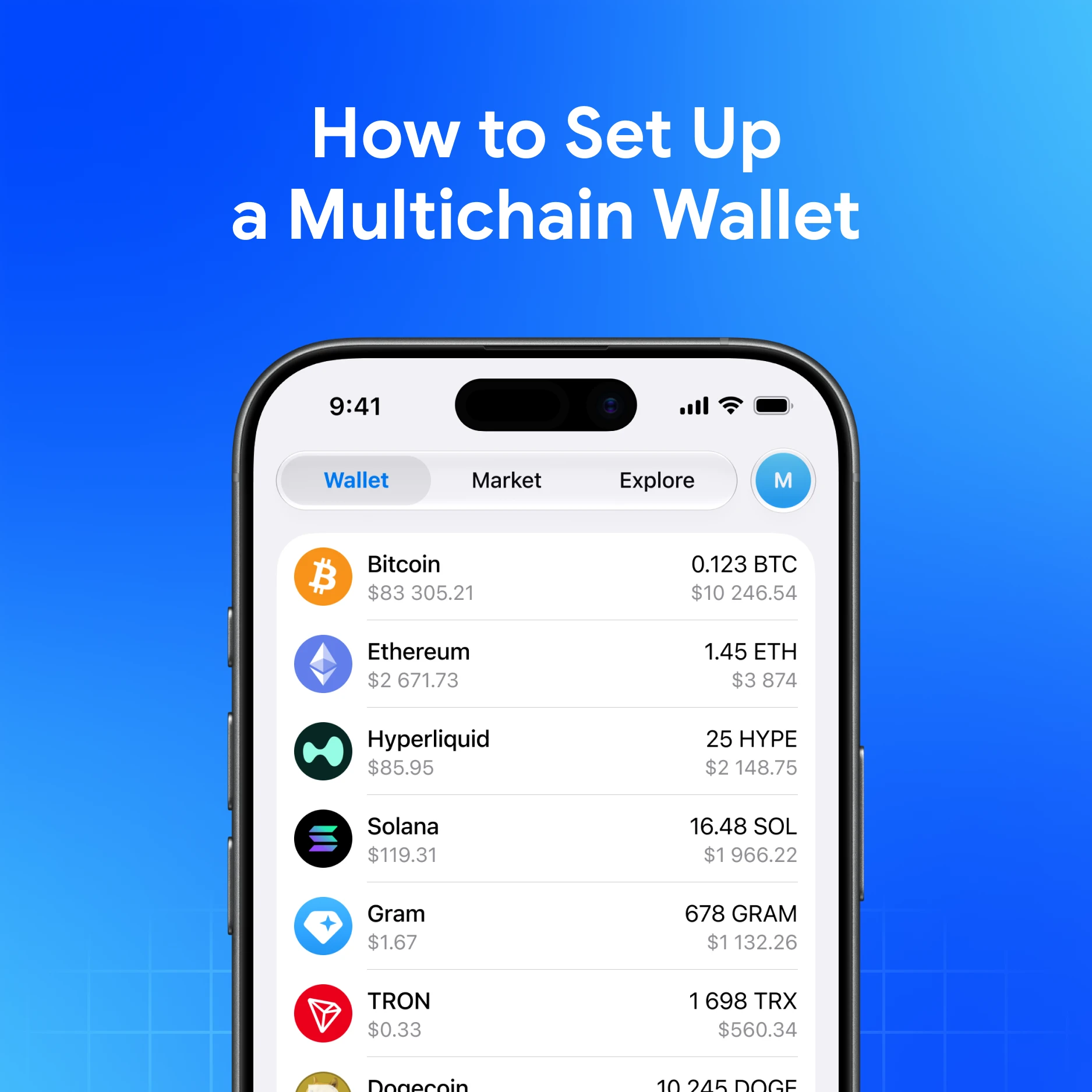 How to Set Up a Multichain Wallet